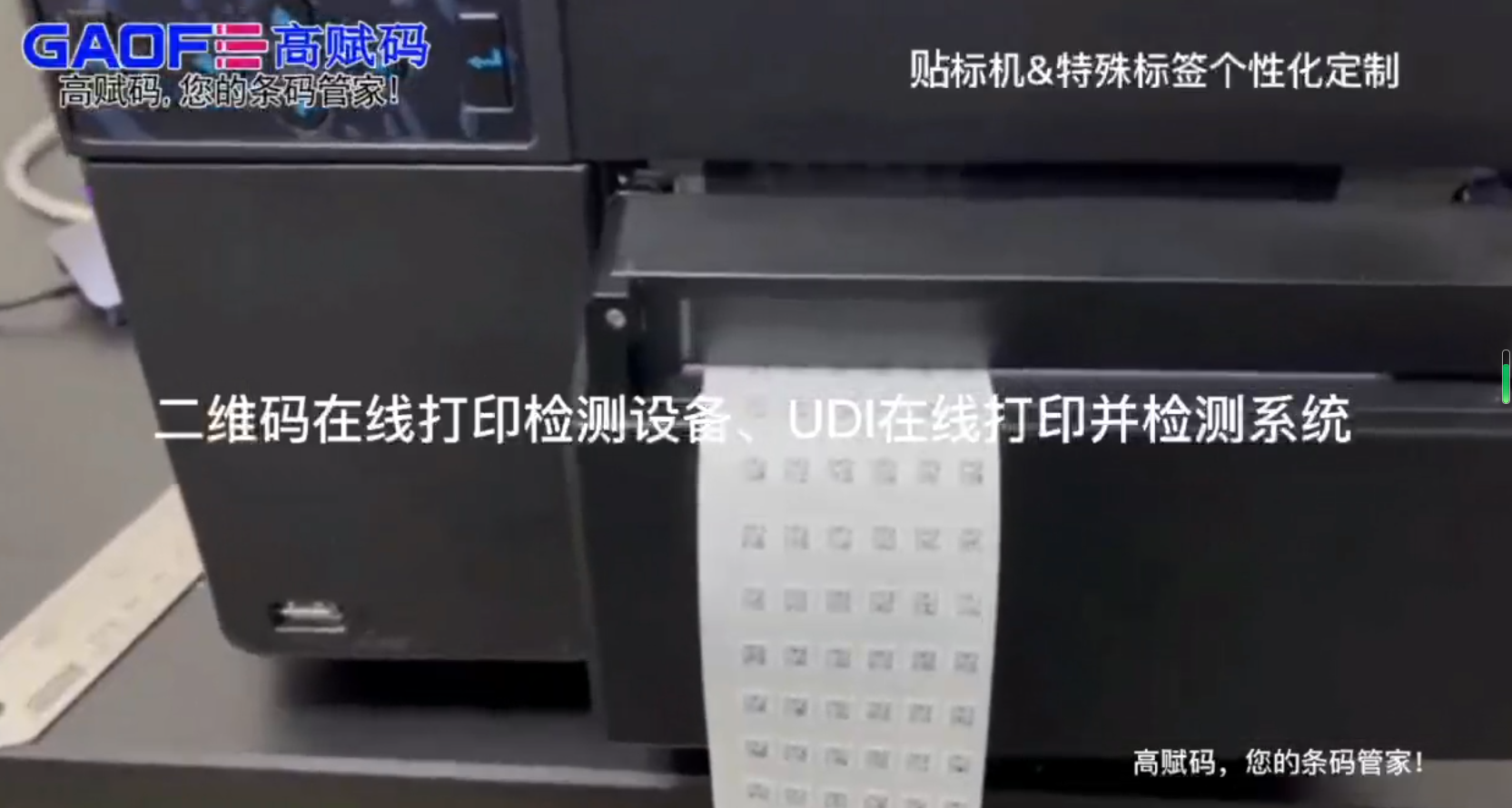 高賦碼二維碼在線打印檢測設備、UDI在線打印并檢測系統(tǒng)