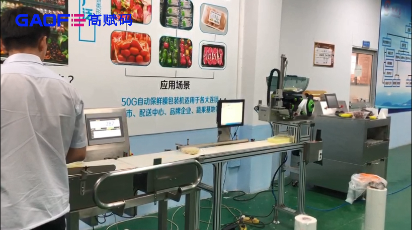 高賦碼 稱重+自動貼標打印方案——輸送果蔬行業視頻